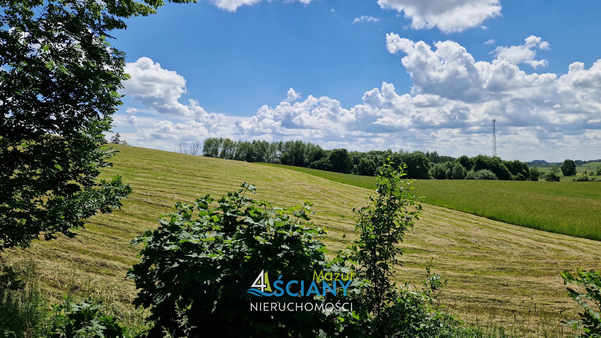 Działka Rolna — Pańska Wola, Wydminy | 4 Ściany Mazur (zdjęcie 1)