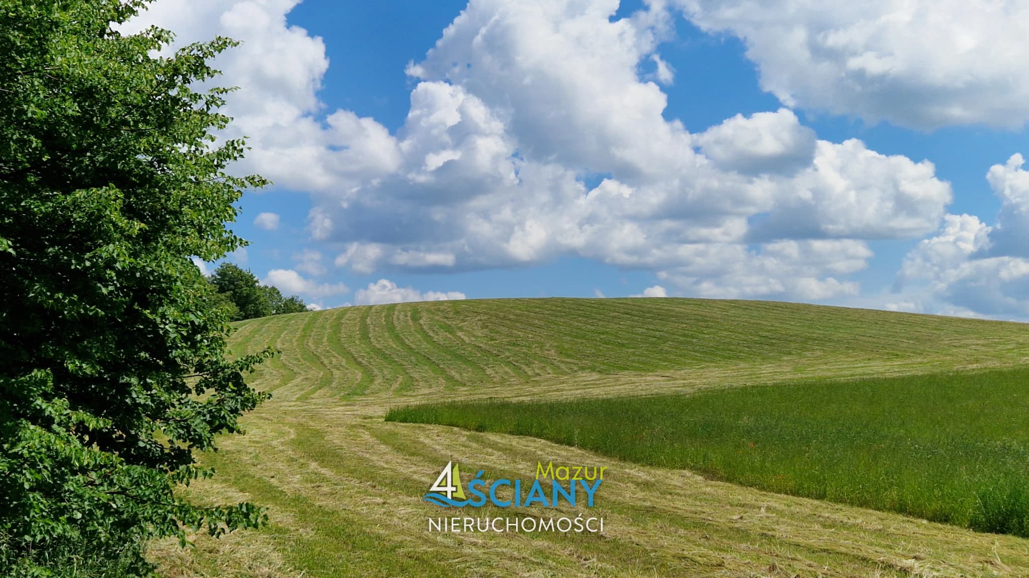 Działka Rolna — Pańska Wola, Wydminy (galeria 4)
