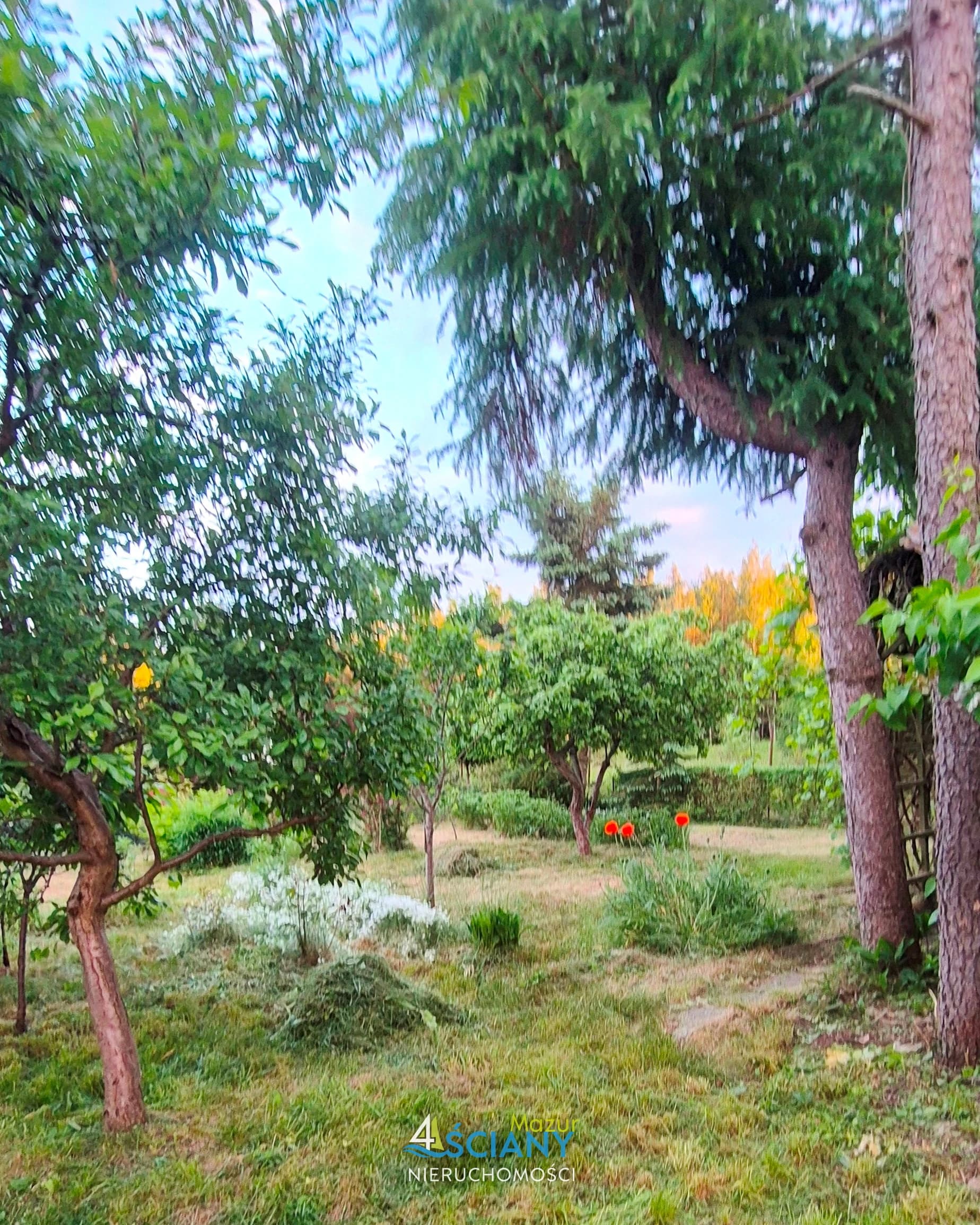 Działka Rod Zagospodarowana — Ełk, Ełk (galeria 4)