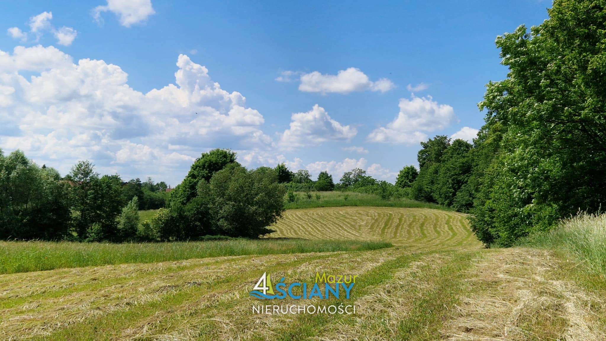 Działka Rolna — Pańska Wola, Wydminy (galeria 3)