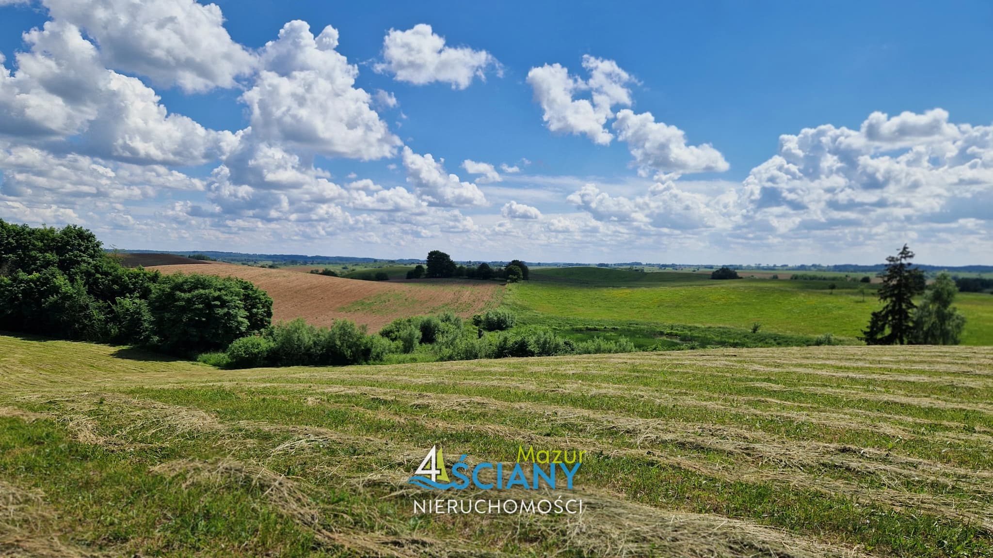 Działka Rolna — Pańska Wola, Wydminy (galeria 5)